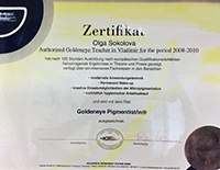 Сертификат ГолденАй Тичер 2008